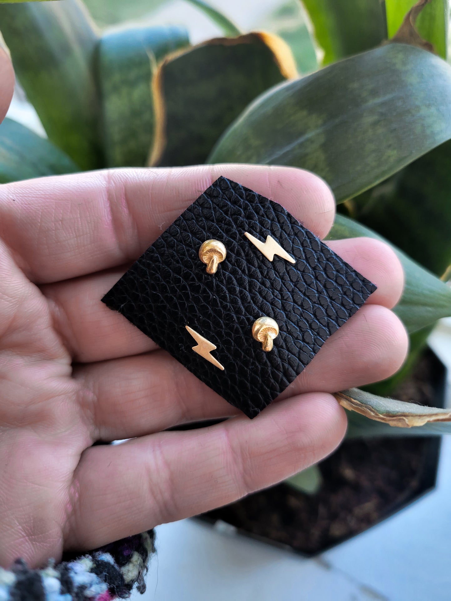 Golden Teacherx Bolt Studs